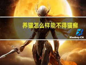 养猫怎么样能不得猫癣