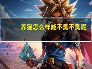 养猫怎么样能不臭不臭呢