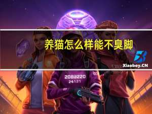 养猫怎么样能不臭脚