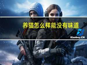 养猫怎么样能没有味道