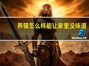 养猫怎么样能让家里没味道