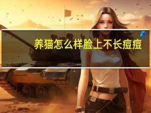养猫怎么样脸上不长痘痘