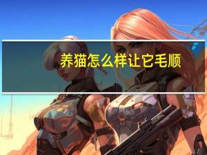 养猫怎么样让它毛顺