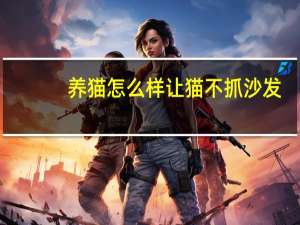 养猫怎么样让猫不抓沙发