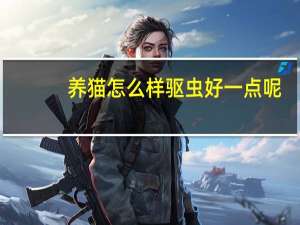 养猫怎么样驱虫好一点呢