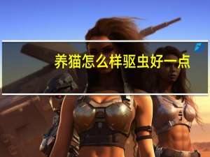 养猫怎么样驱虫好一点