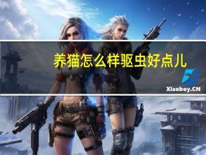 养猫怎么样驱虫好点儿