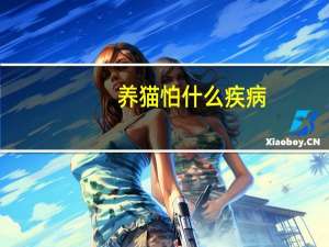 养猫怕什么疾病