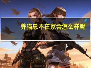 养猫总不在家会怎么样呢