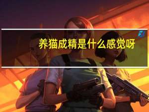 养猫成精是什么感觉呀