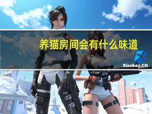 养猫房间会有什么味道