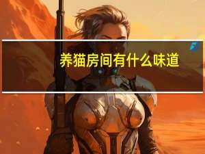 养猫房间有什么味道