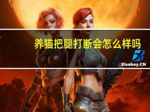 养猫把腿打断会怎么样吗