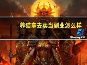 养猫拿去卖当副业怎么样