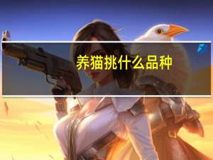 养猫挑什么品种