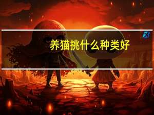 养猫挑什么种类好