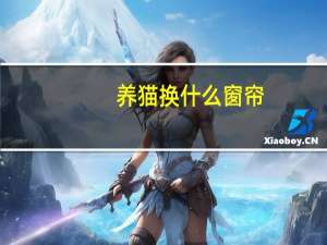 养猫换什么窗帘
