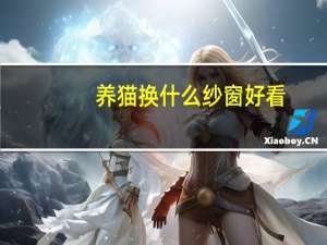 养猫换什么纱窗好看