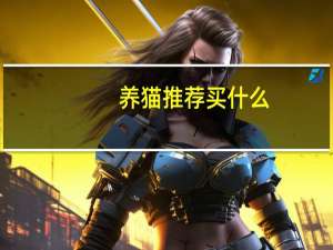 养猫推荐买什么
