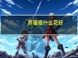 养猫插什么花好