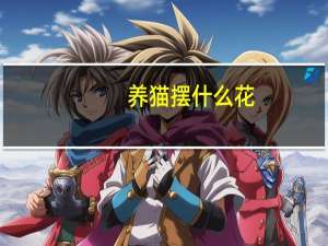养猫摆什么花