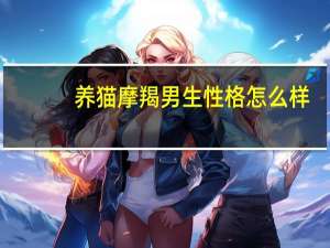 养猫摩羯男生性格怎么样