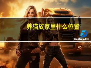 养猫放家里什么位置
