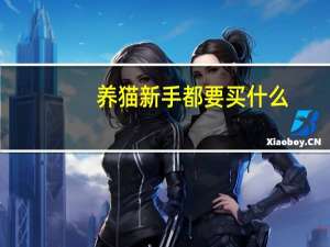 养猫新手都要买什么