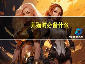 养猫时必备什么