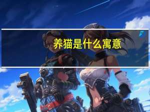 养猫是什么寓意