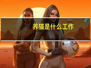 养猫是什么工作