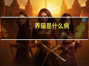 养猫是什么病