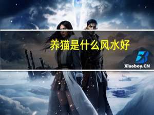 养猫是什么风水好