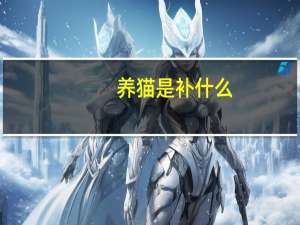 养猫是补什么