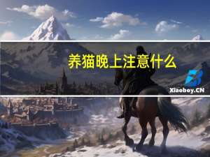 养猫晚上注意什么