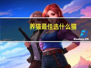 养猫最佳选什么猫