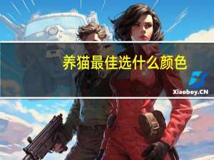 养猫最佳选什么颜色