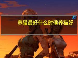 养猫最好什么时候养猫好