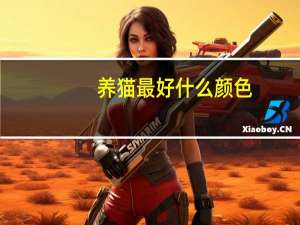 养猫最好什么颜色
