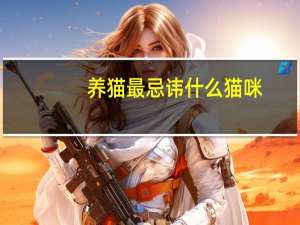 养猫最忌讳什么猫咪