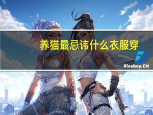 养猫最忌讳什么衣服穿