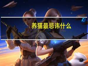 养猫最忌讳什么