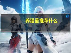 养猫最推荐什么
