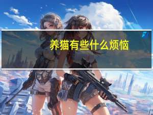 养猫有些什么烦恼