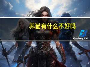 养猫有什么不好吗