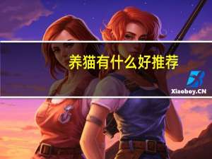 养猫有什么好推荐