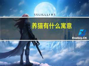 养猫有什么寓意