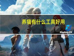 养猫有什么工具好用