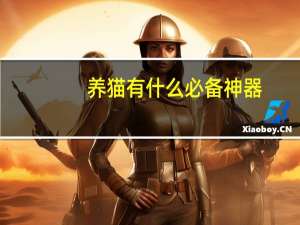 养猫有什么必备神器