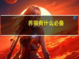 养猫有什么必备